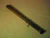 baton_29.jpg (13717 octets)
