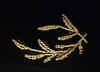 epaul-gland1.jpg (5638 octets)